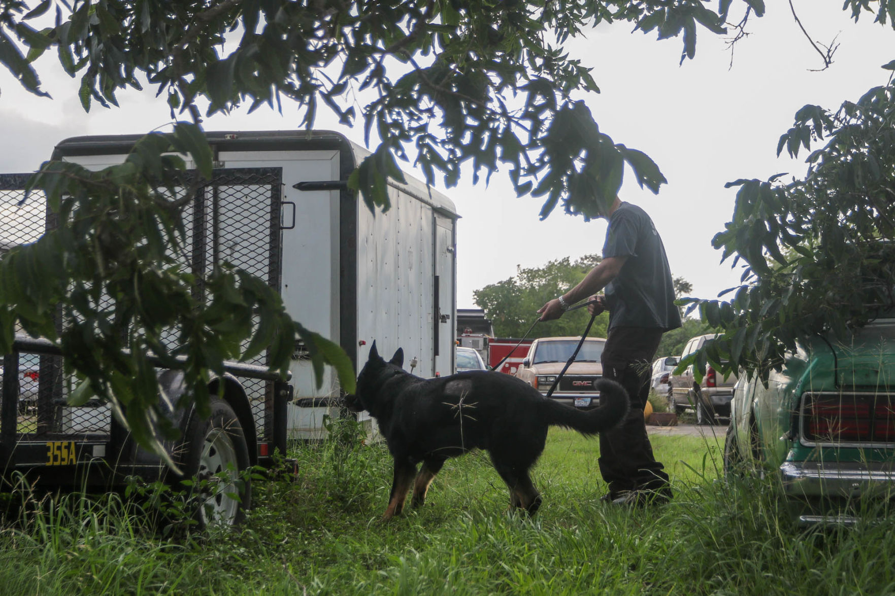K9 Training